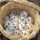 mmexport1675051555401