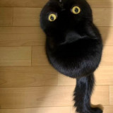 mmexport1675051592790