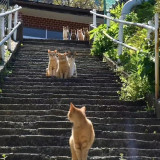 mmexport1675051626329