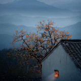 mmexport1675051645066