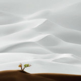 mmexport1675051664234