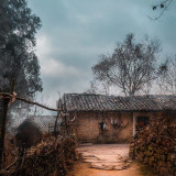 mmexport1675051696679