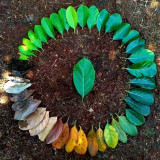 mmexport1675051774980