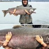 mmexport1675051947627