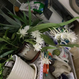 mmexport1732541568711