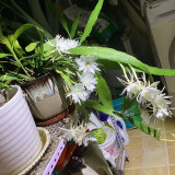 mmexport1732541578024