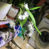 mmexport1732541582759