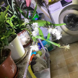 mmexport1732541592461