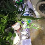 mmexport1732541602137