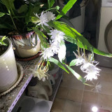 mmexport1732541620218