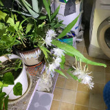 mmexport1732541624769