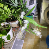 mmexport1732541629504