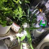 mmexport1732541634381